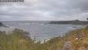 ./images/calvert/foggy-cove/20260506/foggy-cove20260506_064001M.jpg