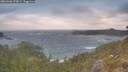./images/calvert/foggy-cove/20260506/foggy-cove20260506_070001M.jpg