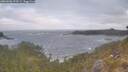 ./images/calvert/foggy-cove/20260506/foggy-cove20260506_070501M.jpg