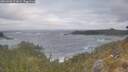 ./images/calvert/foggy-cove/20260506/foggy-cove20260506_071001M.jpg