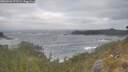 ./images/calvert/foggy-cove/20260506/foggy-cove20260506_071501M.jpg