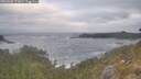 ./images/calvert/foggy-cove/20260506/foggy-cove20260506_072001M.jpg