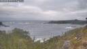 ./images/calvert/foggy-cove/20260506/foggy-cove20260506_072502M.jpg