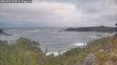 ./images/calvert/foggy-cove/20260506/foggy-cove20260506_073001M.jpg