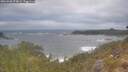 ./images/calvert/foggy-cove/20260506/foggy-cove20260506_074001M.jpg