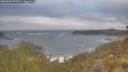 ./images/calvert/foggy-cove/20260506/foggy-cove20260506_074502M.jpg
