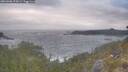 ./images/calvert/foggy-cove/20260506/foggy-cove20260506_075001M.jpg
