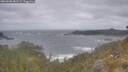 ./images/calvert/foggy-cove/20260506/foggy-cove20260506_081501M.jpg