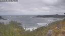 ./images/calvert/foggy-cove/20260506/foggy-cove20260506_082001M.jpg