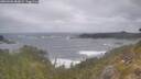./images/calvert/foggy-cove/20260506/foggy-cove20260506_083001M.jpg