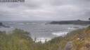 ./images/calvert/foggy-cove/20260506/foggy-cove20260506_083501M.jpg