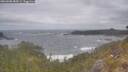 ./images/calvert/foggy-cove/20260506/foggy-cove20260506_085001M.jpg