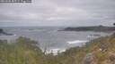 ./images/calvert/foggy-cove/20260506/foggy-cove20260506_085501M.jpg