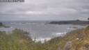 ./images/calvert/foggy-cove/20260506/foggy-cove20260506_090002M.jpg
