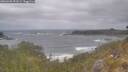 ./images/calvert/foggy-cove/20260506/foggy-cove20260506_091001M.jpg