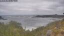 ./images/calvert/foggy-cove/20260506/foggy-cove20260506_092501M.jpg