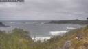./images/calvert/foggy-cove/20260506/foggy-cove20260506_093501M.jpg