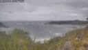 ./images/calvert/foggy-cove/20260506/foggy-cove20260506_094001M.jpg