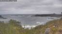 ./images/calvert/foggy-cove/20260506/foggy-cove20260506_095001M.jpg