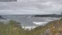 ./images/calvert/foggy-cove/20260506/foggy-cove20260506_101001M.jpg