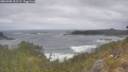 ./images/calvert/foggy-cove/20260506/foggy-cove20260506_101501M.jpg