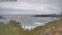 ./images/calvert/foggy-cove/20260506/foggy-cove20260506_102502M.jpg