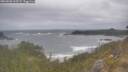 ./images/calvert/foggy-cove/20260506/foggy-cove20260506_103501M.jpg