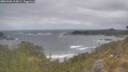 ./images/calvert/foggy-cove/20260506/foggy-cove20260506_104001M.jpg