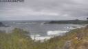 ./images/calvert/foggy-cove/20260506/foggy-cove20260506_104501M.jpg