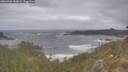 ./images/calvert/foggy-cove/20260506/foggy-cove20260506_105001M.jpg