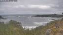 ./images/calvert/foggy-cove/20260506/foggy-cove20260506_105501M.jpg