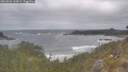 ./images/calvert/foggy-cove/20260506/foggy-cove20260506_110001M.jpg