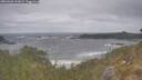 ./images/calvert/foggy-cove/20260506/foggy-cove20260506_111001M.jpg