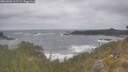 ./images/calvert/foggy-cove/20260506/foggy-cove20260506_111501M.jpg