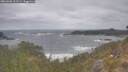 ./images/calvert/foggy-cove/20260506/foggy-cove20260506_112501M.jpg