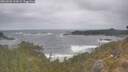 ./images/calvert/foggy-cove/20260506/foggy-cove20260506_113001M.jpg