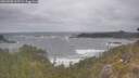 ./images/calvert/foggy-cove/20260506/foggy-cove20260506_113501M.jpg