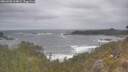 ./images/calvert/foggy-cove/20260506/foggy-cove20260506_114001M.jpg