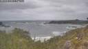 ./images/calvert/foggy-cove/20260506/foggy-cove20260506_114501M.jpg