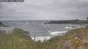 ./images/calvert/foggy-cove/20260506/foggy-cove20260506_115001M.jpg