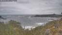 ./images/calvert/foggy-cove/20260506/foggy-cove20260506_115501M.jpg