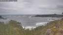./images/calvert/foggy-cove/20260506/foggy-cove20260506_120001M.jpg