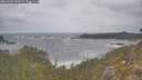 ./images/calvert/foggy-cove/20260506/foggy-cove20260506_120501M.jpg