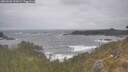 ./images/calvert/foggy-cove/20260506/foggy-cove20260506_121001M.jpg