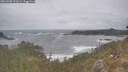 ./images/calvert/foggy-cove/20260506/foggy-cove20260506_121501M.jpg
