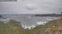 ./images/calvert/foggy-cove/20260506/foggy-cove20260506_122001M.jpg