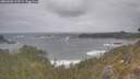 ./images/calvert/foggy-cove/20260506/foggy-cove20260506_122501M.jpg