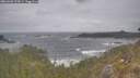 ./images/calvert/foggy-cove/20260506/foggy-cove20260506_123001M.jpg