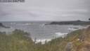 ./images/calvert/foggy-cove/20260506/foggy-cove20260506_124001M.jpg