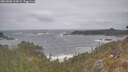 ./images/calvert/foggy-cove/20260506/foggy-cove20260506_124501M.jpg